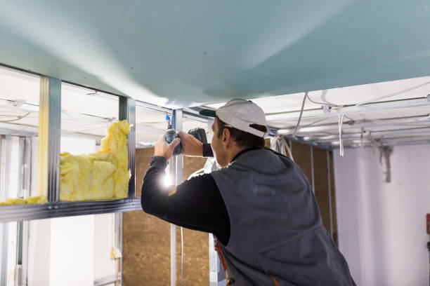 Best Attic Insulation Installation  in Salem, MO
