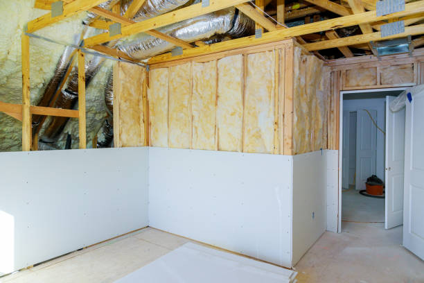 Best Spray Foam Insulation  in Salem, MO