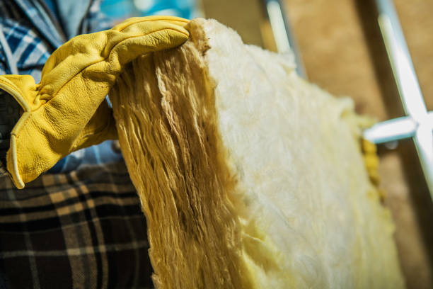 Best Professional Insulation Contractor  in Salem, MO