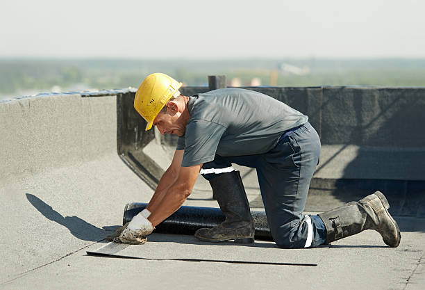 Best Insulation Contractor Near Me  in Salem, MO