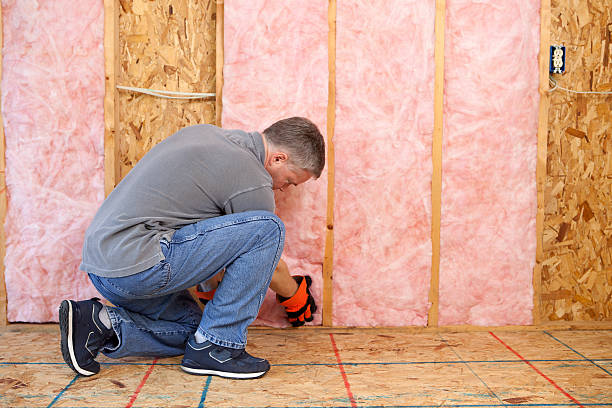 Best Garage Insulation Installation  in Salem, MO